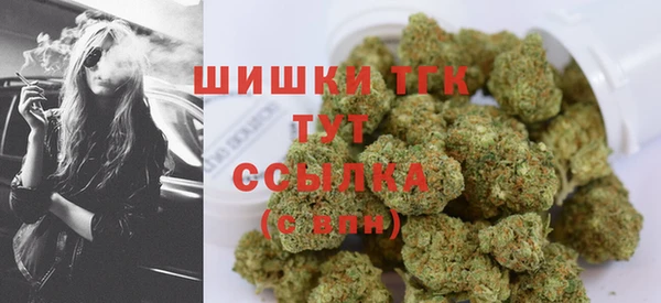 трава Надым