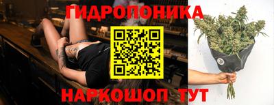 соль ск Новодвинск