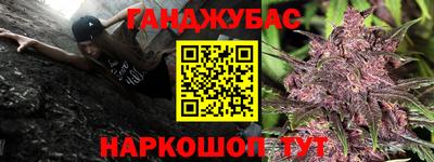2c-b Новозыбков