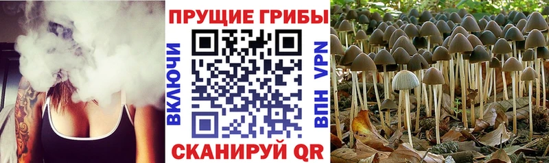 Галлюциногенные грибы ЛСД  купить  сайты  Соль-Илецк 