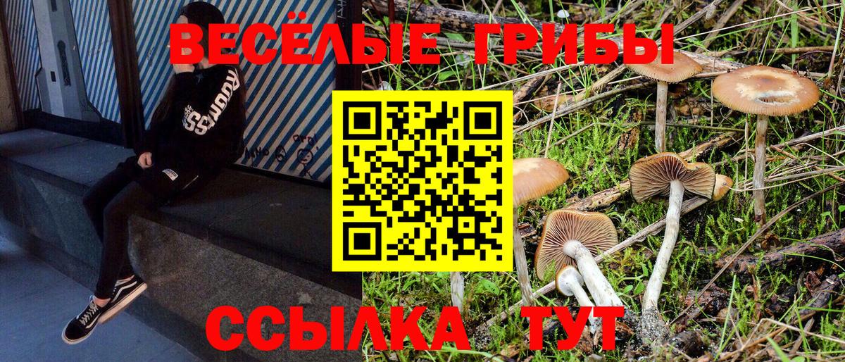 Галлюциногенные грибы Psilocybine cubensis  Вход с VPN  Соль-Илецк 