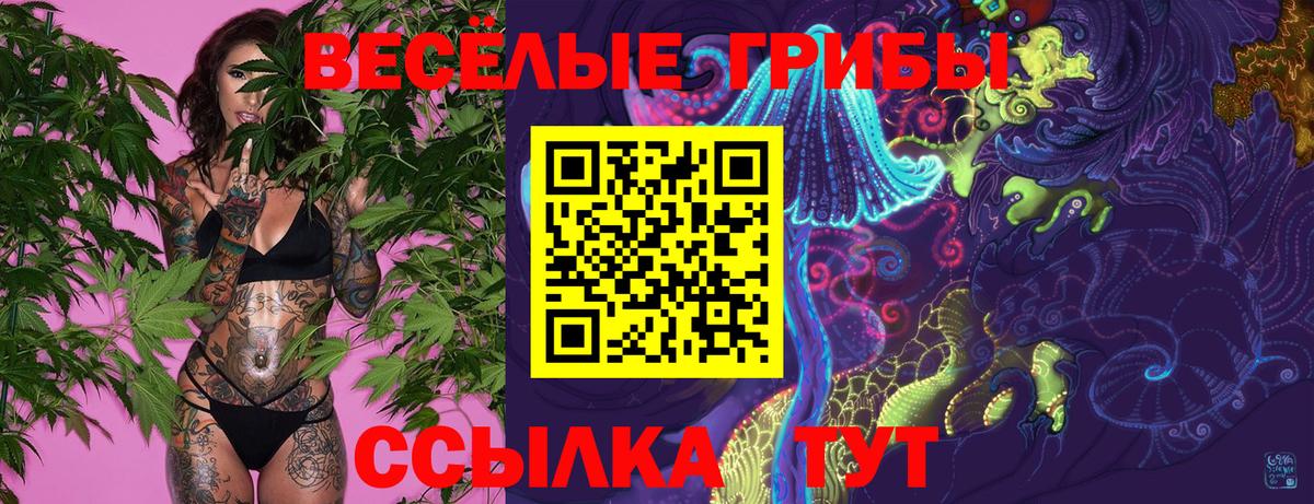 Псилоцибиновые грибы Magic Shrooms Соль-Илецк
